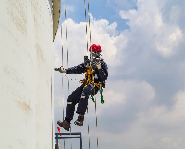 ALPINISM UTILITAR INSPECȚII